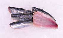 Sardine filet
